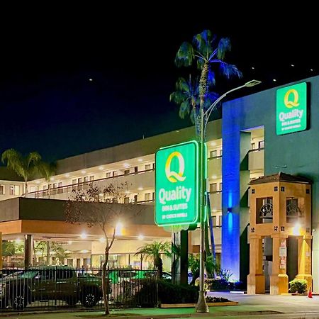 Quality Inn & Suites Los Angeles Airport - Lax Инглвуд Экстерьер фото